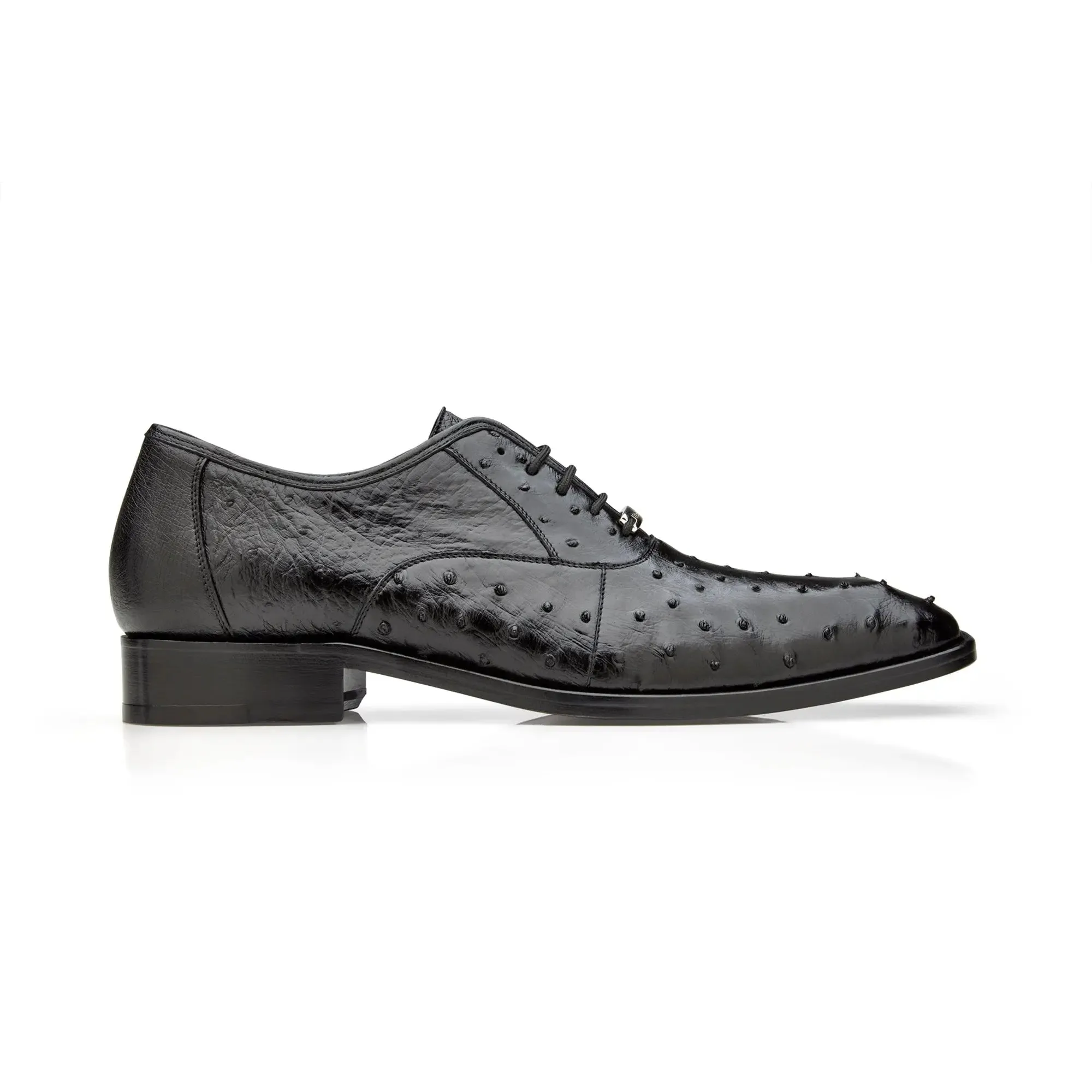 Belvedere Exotische Leder Schuhe Belvedere Orlando in Schwarz Echte Straußenfeder Oxfords
